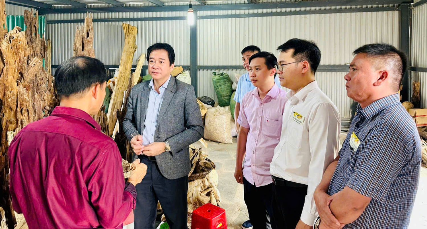 Đồng chí Nguyễn Long Biên - Ủy viên Ban Thường vụ Tỉnh ủy, Phó Chủ tịch Thường trực UBND tỉnh tham quan làng nghề trầm hương Vạn Thắng.