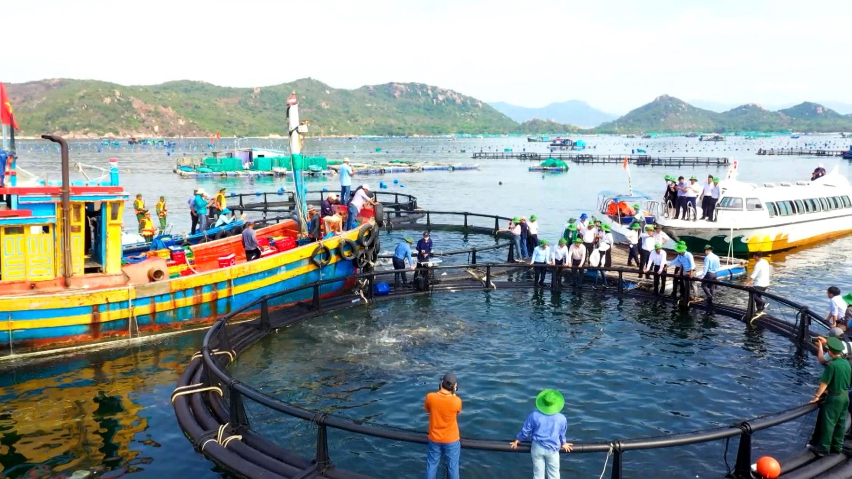 Mô hình nuôi biển công nghệ cao tại Cam Ranh