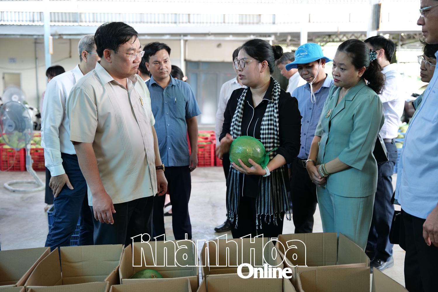 Ông Trịnh Minh Hoàng, Phó Chủ tịch UBND tỉnh Khánh Hoà thăm, trao đổi tình hình hoạt động thu mua với lãnh đạo Công ty TNHH XNK trái cây và nông sản Ngân Nguyễn (tổ 2, đường Lê Hồng Phong, xã Khánh Vĩnh)