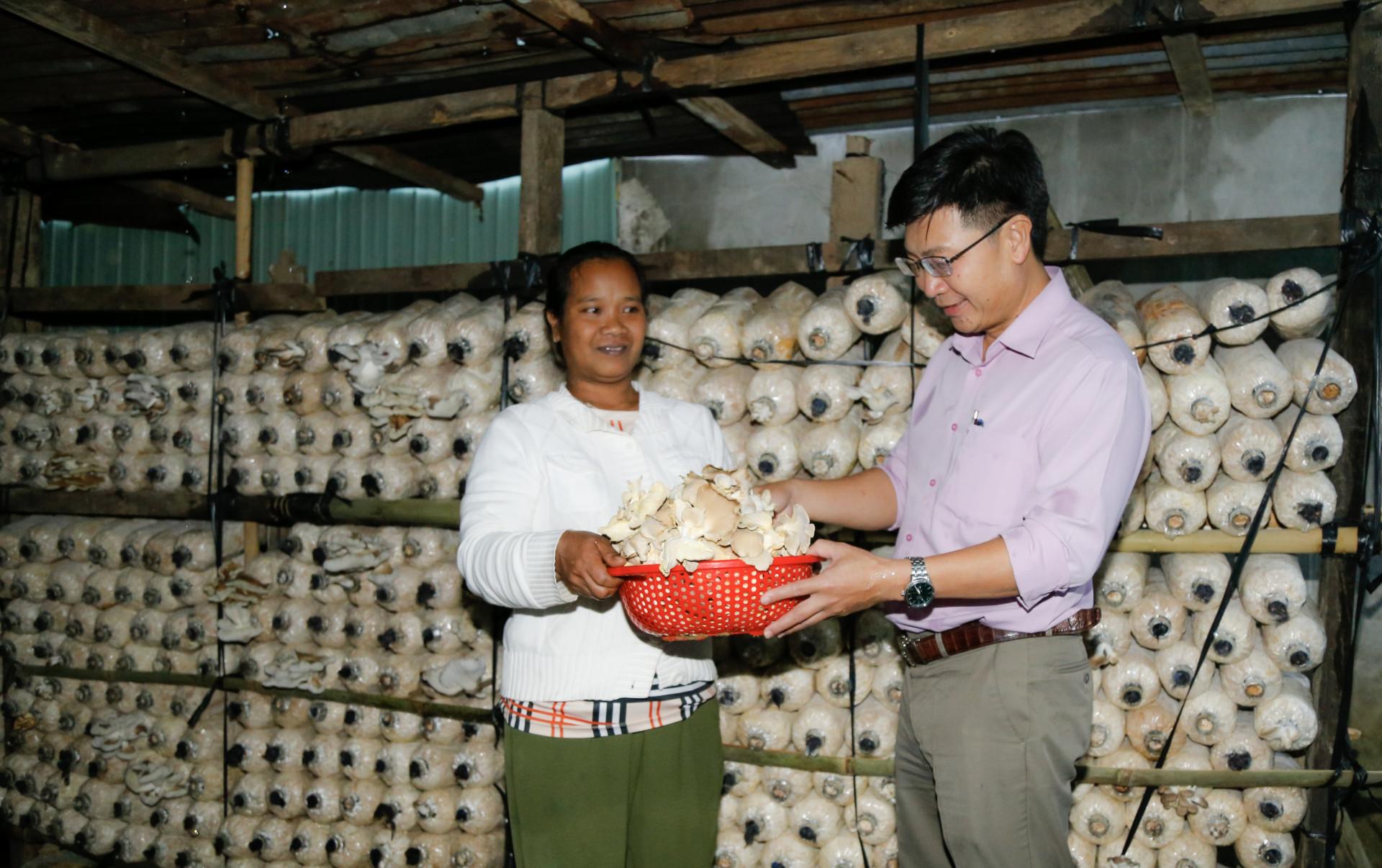 Ông Nguyễn Khoa Trưởng - Chủ tịch UBND thị trấn Tô Hạp kiểm tra mô hình sinh kế của người dân