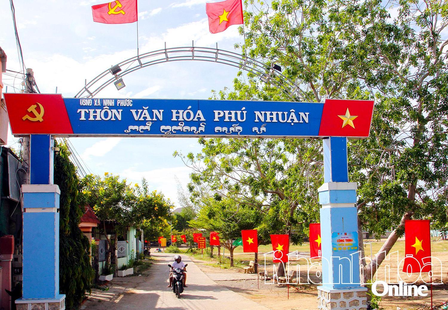 Thôn Phú Nhuận, xã Ninh Phước thực hiện treo cờ chào mừng kỷ niệm 80 năm Cách mạng Tháng Tám thành công và Quốc khánh 2-9. Ảnh: THÁI SƠN NGỌC