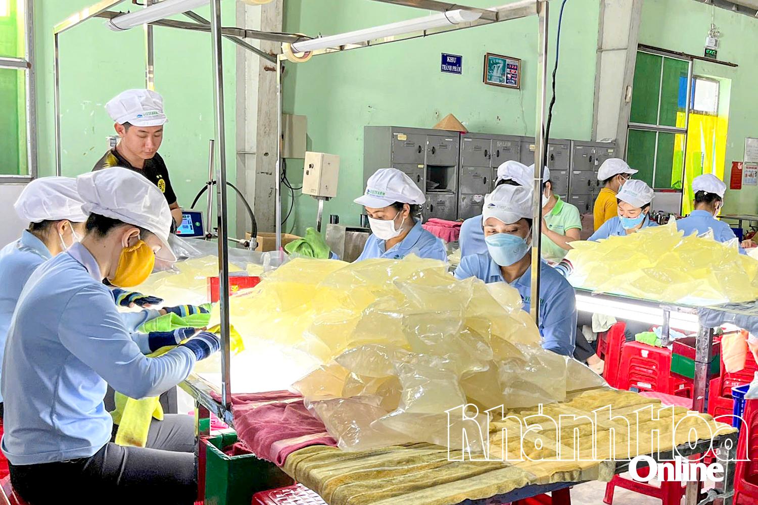 Chế biến sản phẩm nha đam tại Công ty Cổ phần Thực phẩm   Cánh đồng Việt (Khu Công nghiệp Thành Hải).  