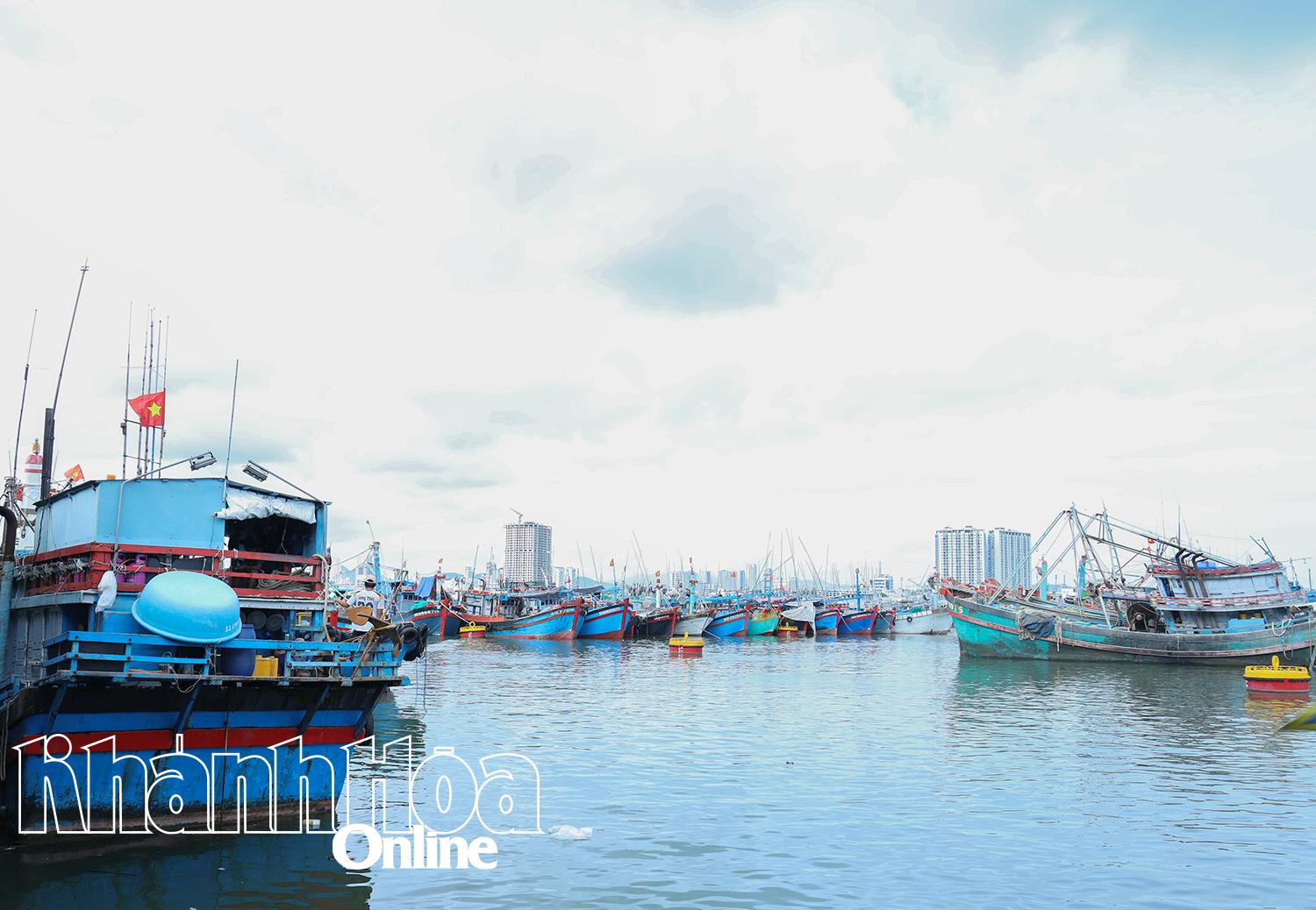 Nhiều tàu thuyền đã vào nơi trú ẩn an toàn.